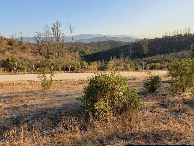 Área para Venta en Limache - 5