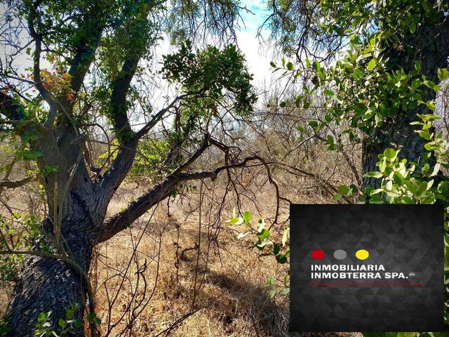 Área para Venta en Limache - 5