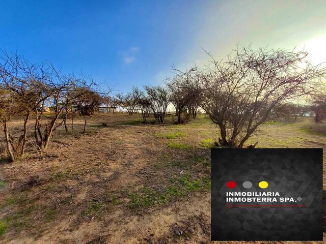 Área para Venta en Limache - 4
