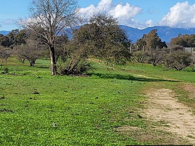 Área para Venta en Limache - 4