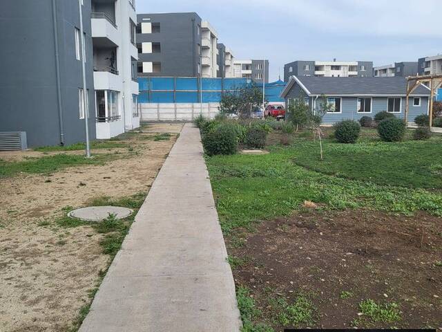 Departamento para Arriendo en Limache - 4
