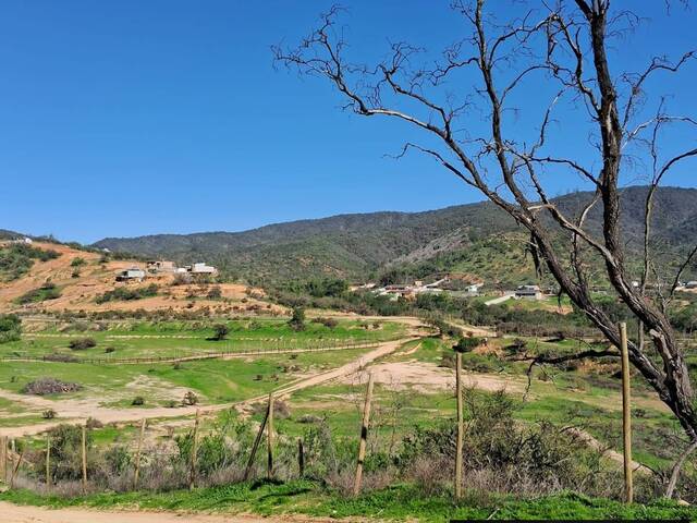 Área para Venta en Quilpué - 5