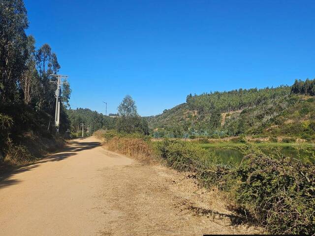 #125 - Área para Venta en Santo Domingo - V