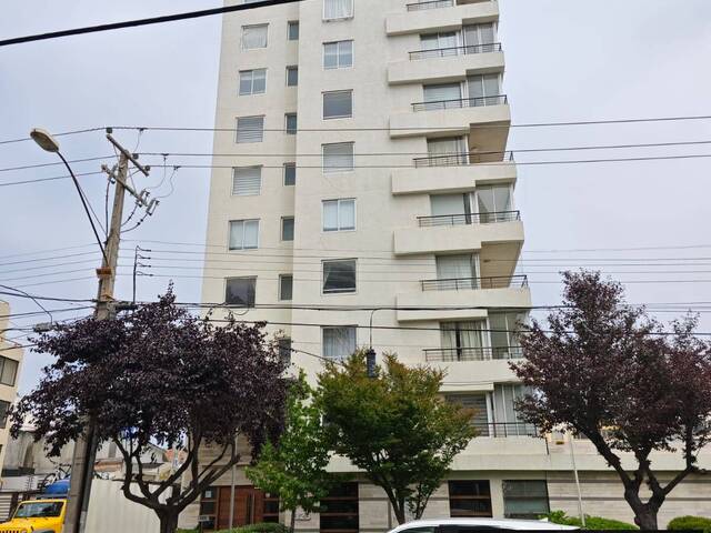 Departamento para Arriendo en Viña del Mar - 4